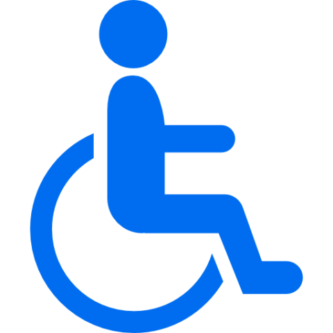 male-cartoon-on-wheel-chair