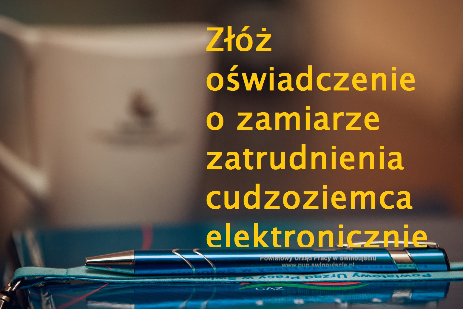 Pracodawco ! Złóż oświadczenie o zamiarze zatrudnienia cudzoziemca w formie elektronicznej.